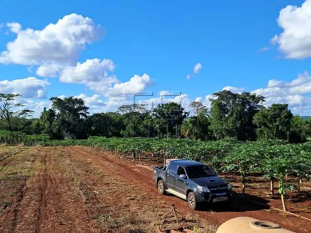 Sítio com 250m² 4 quartos e 4 banheiros, à venda, no bairro Jacutinga em Ibiporã