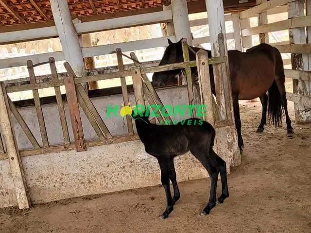 Sítio com 458000m² 3 quartos e 2 banheiros, à venda, no bairro Buquirinha em São José dos Campos