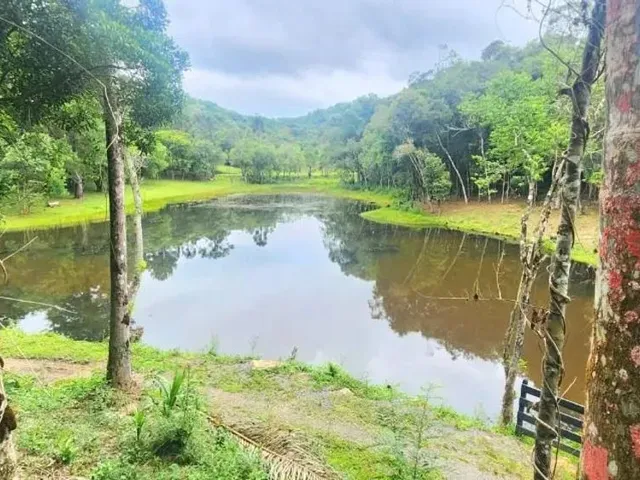 Sítio à venda, no bairro Área Rural de Campo Largo em Campo Largo