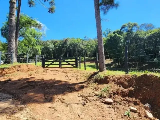 Sítio à venda, no bairro Área Rural de Campo Largo em Campo Largo