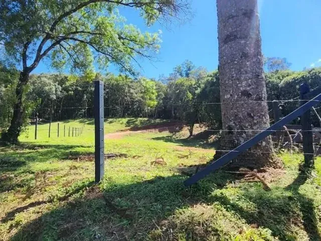 Sítio à venda, no bairro Área Rural de Campo Largo em Campo Largo
