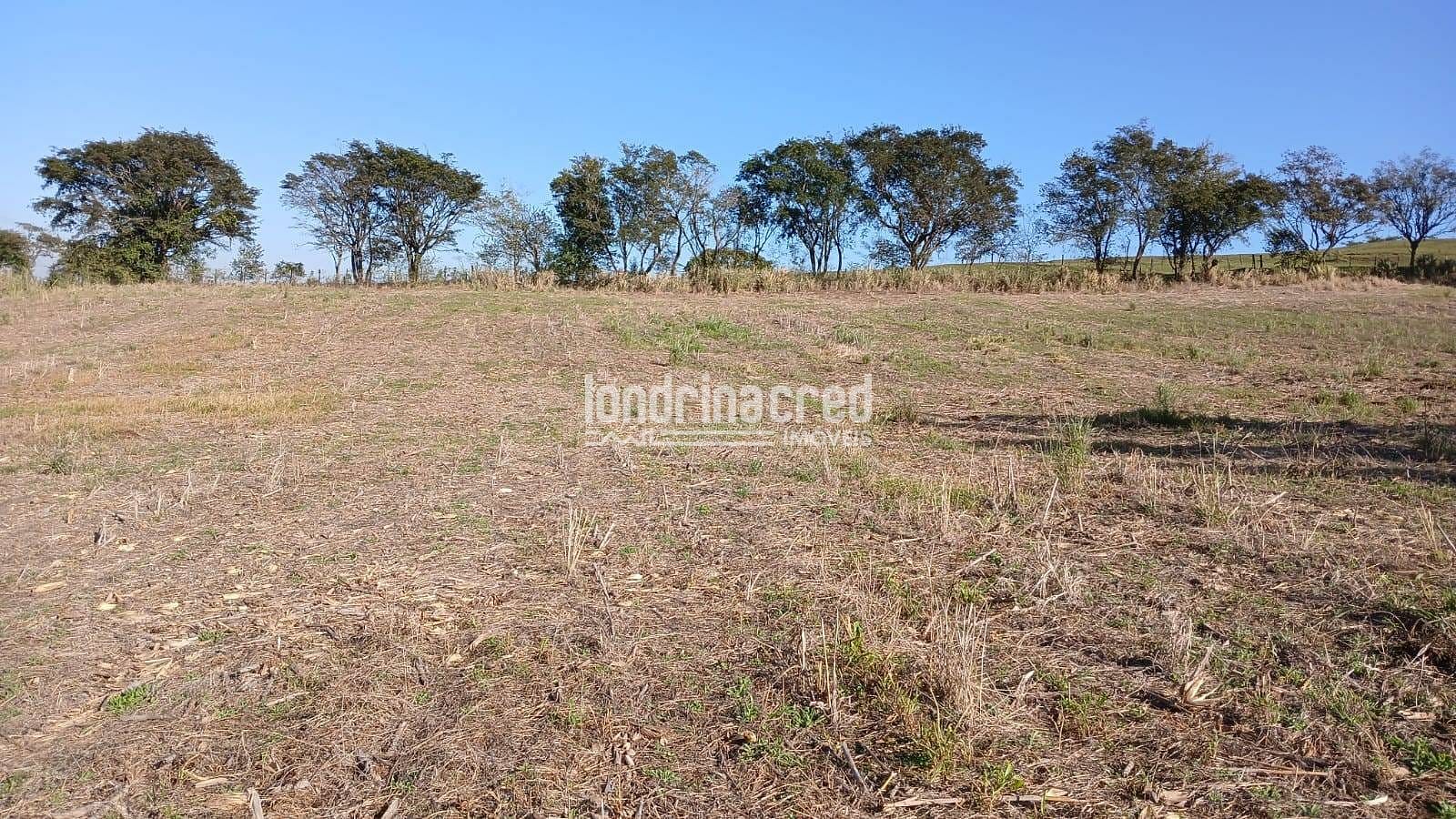 Fazenda, 6 hectares - Foto 15