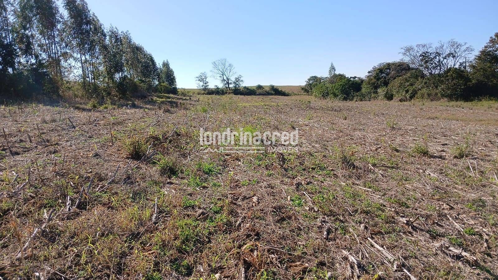 Fazenda, 6 hectares - Foto 14