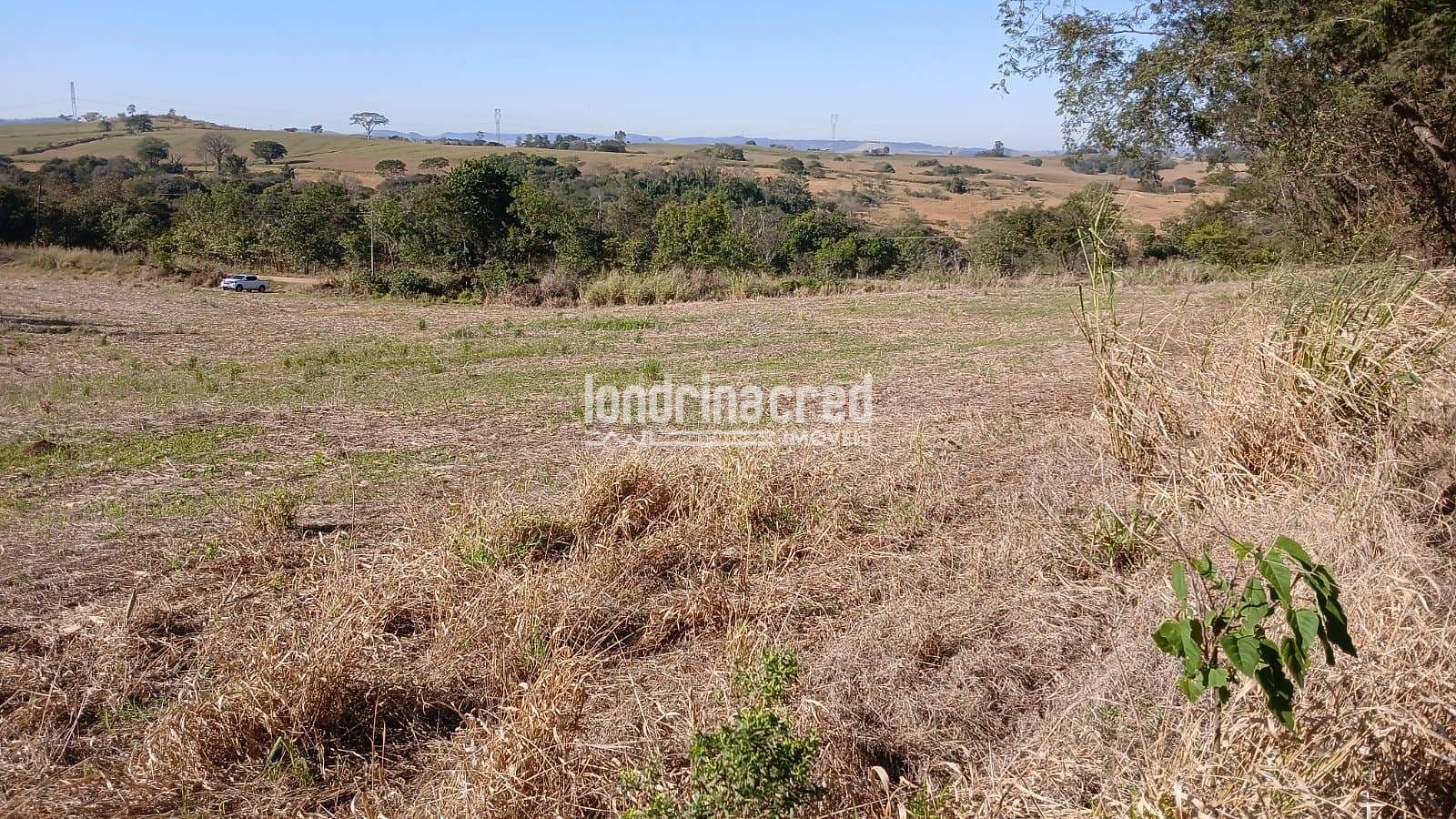 Fazenda, 6 hectares - Foto 13