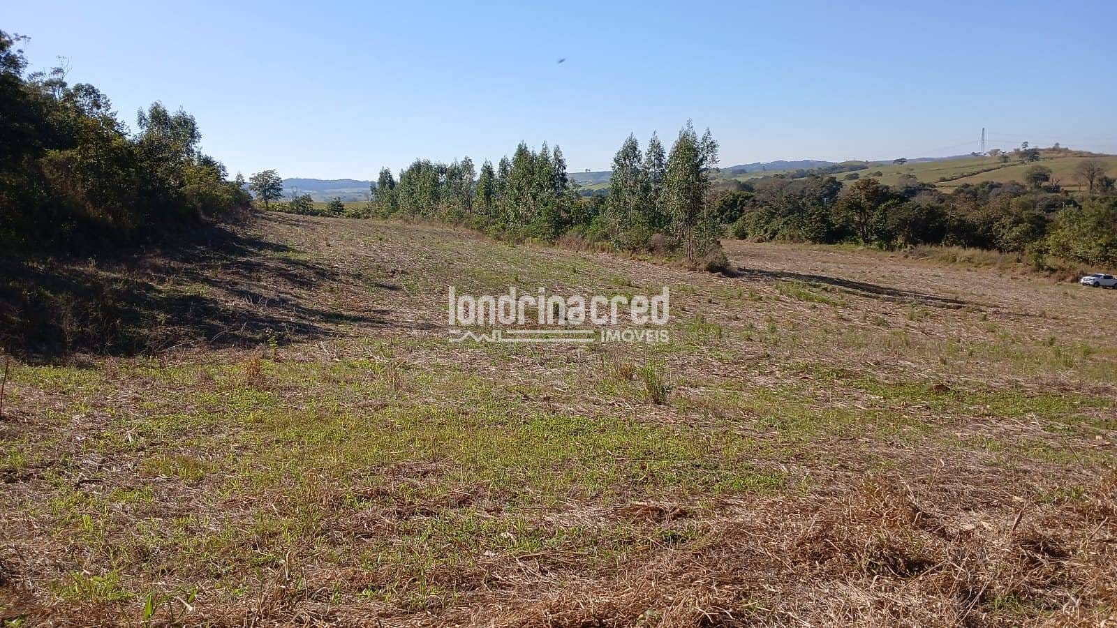 Fazenda, 6 hectares - Foto 1