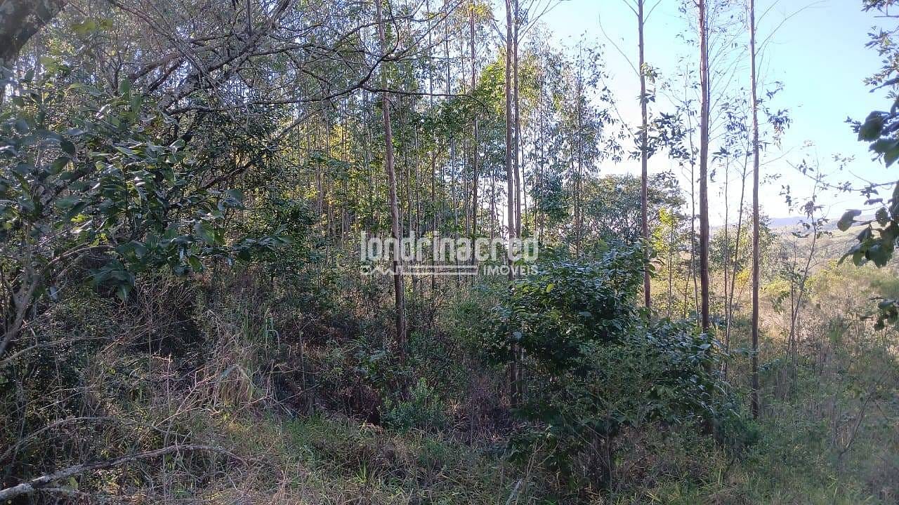 Fazenda, 6 hectares - Foto 12