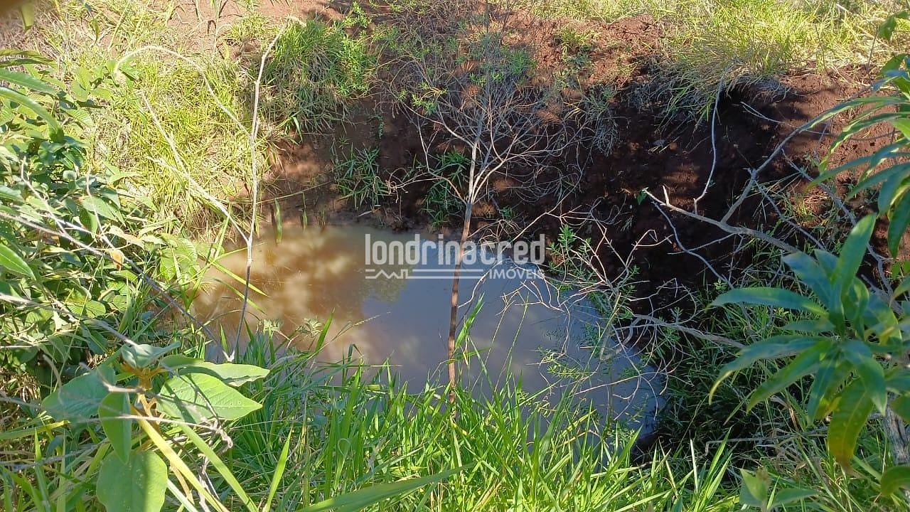 Fazenda, 6 hectares - Foto 10