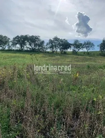 Fazenda, 6 hectares - Foto 3