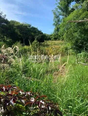 Fazenda, 6 hectares - Foto 5