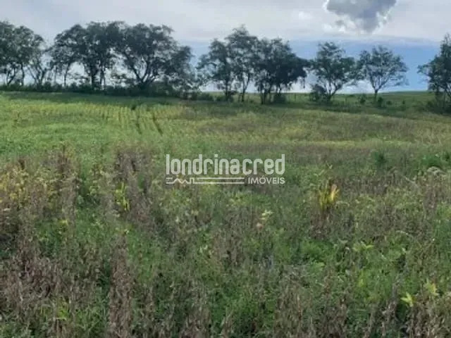 Sítio com 60500m², à venda, no bairro RURAL em Jataizinho
