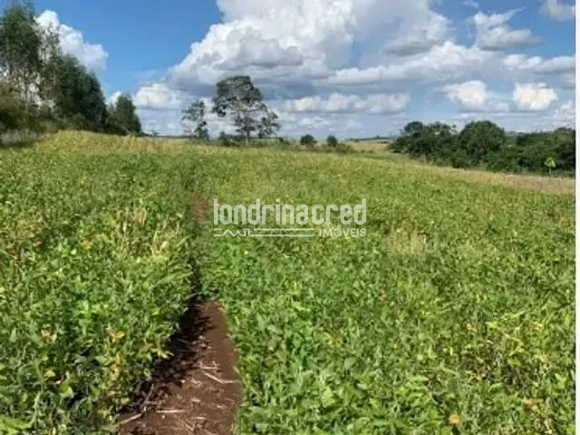 Sítio com 60500m², à venda, no bairro RURAL em Jataizinho