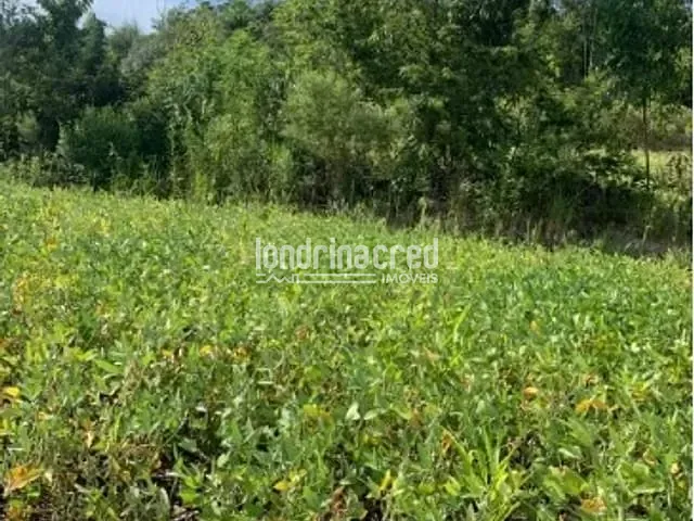 Sítio com 60500m², à venda, no bairro RURAL em Jataizinho