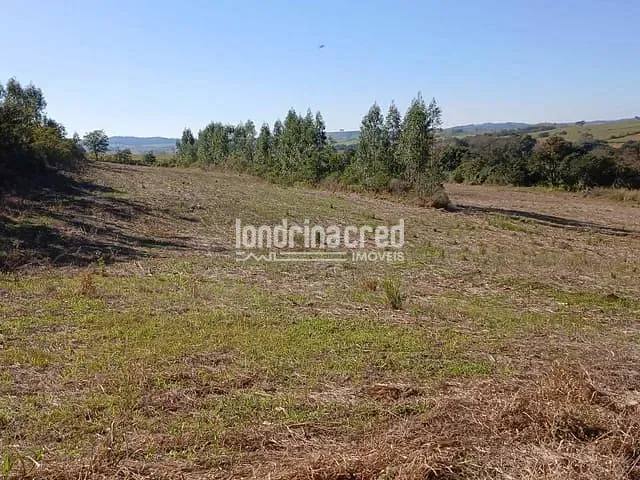 Sítio com 60500m², à venda, no bairro RURAL em Jataizinho