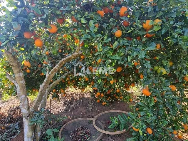 Sítio com 72600m² 2 quartos e 1 banheiro, à venda, no bairro Juruaia em Juruaia