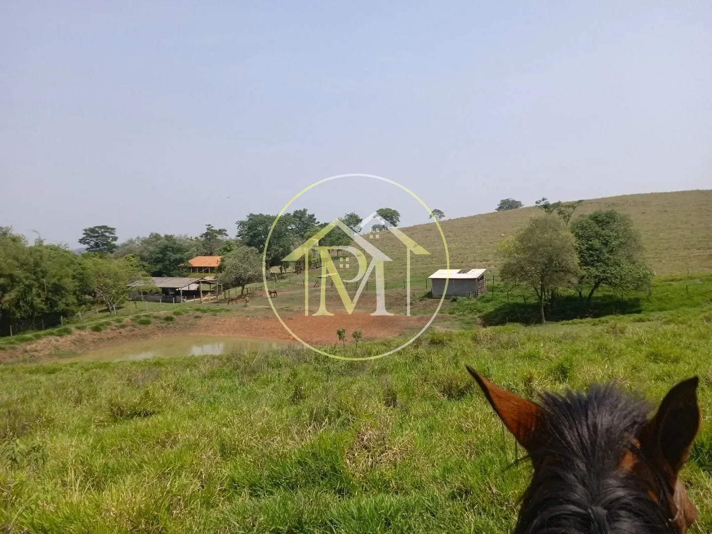 Fazenda, 8 hectares - Foto 4