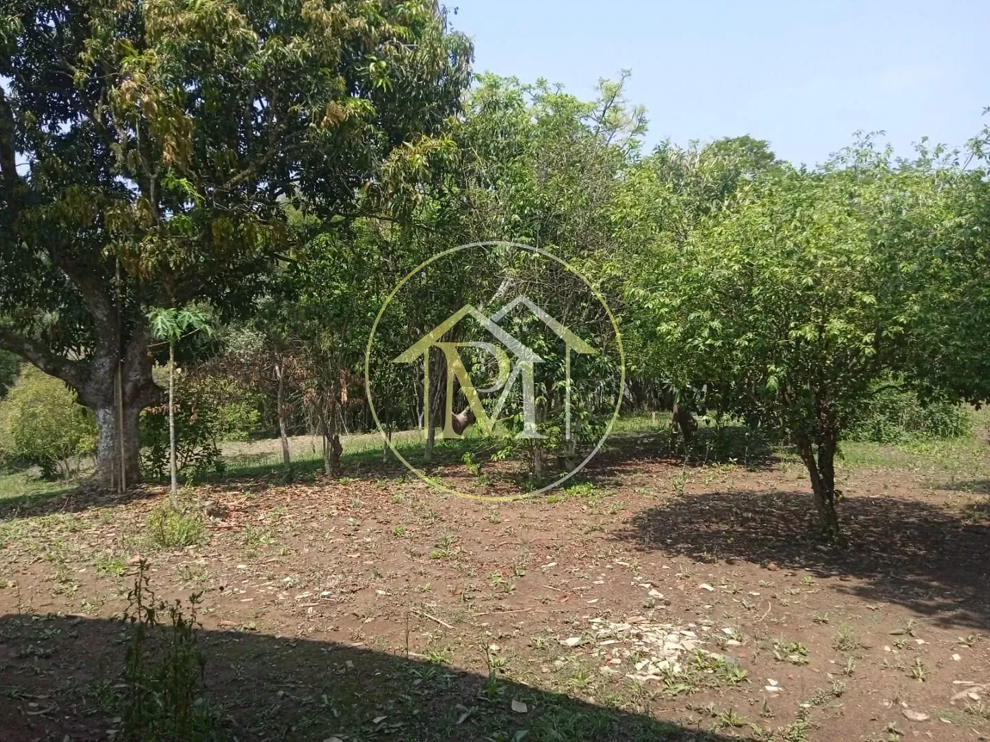 Fazenda, 8 hectares - Foto 15