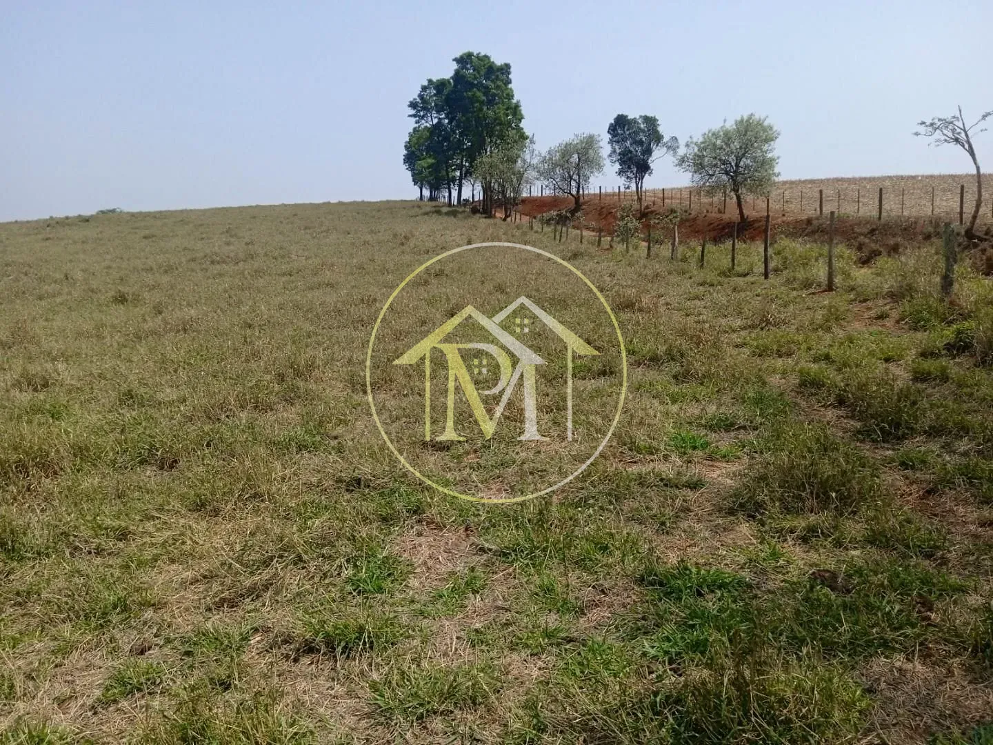 Fazenda, 8 hectares - Foto 7