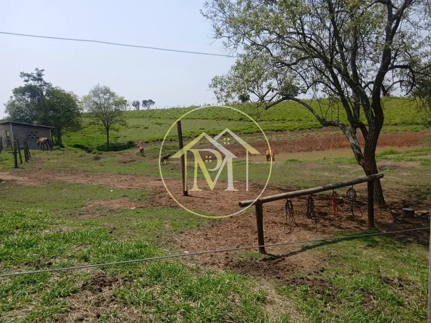 Fazenda, 8 hectares - Foto 10