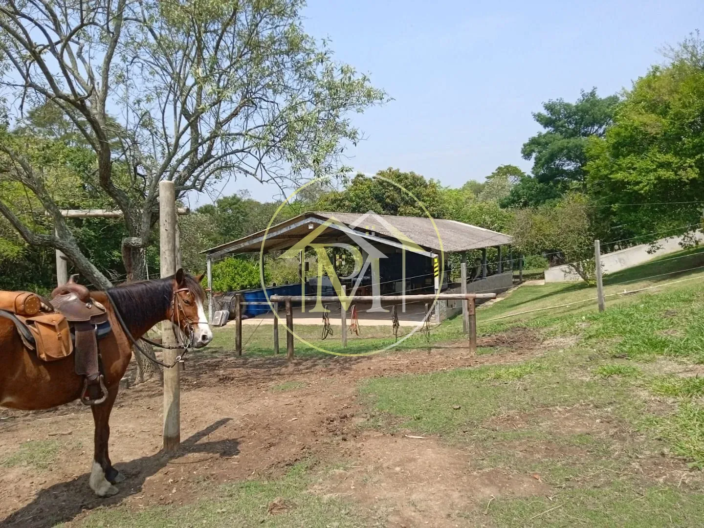 Fazenda, 8 hectares - Foto 22
