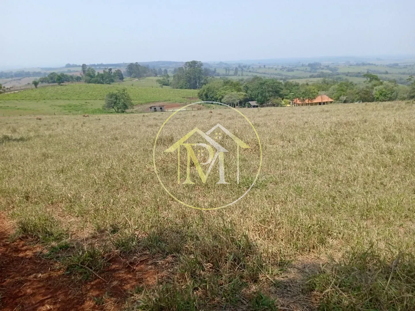 Fazenda, 8 hectares - Foto 6