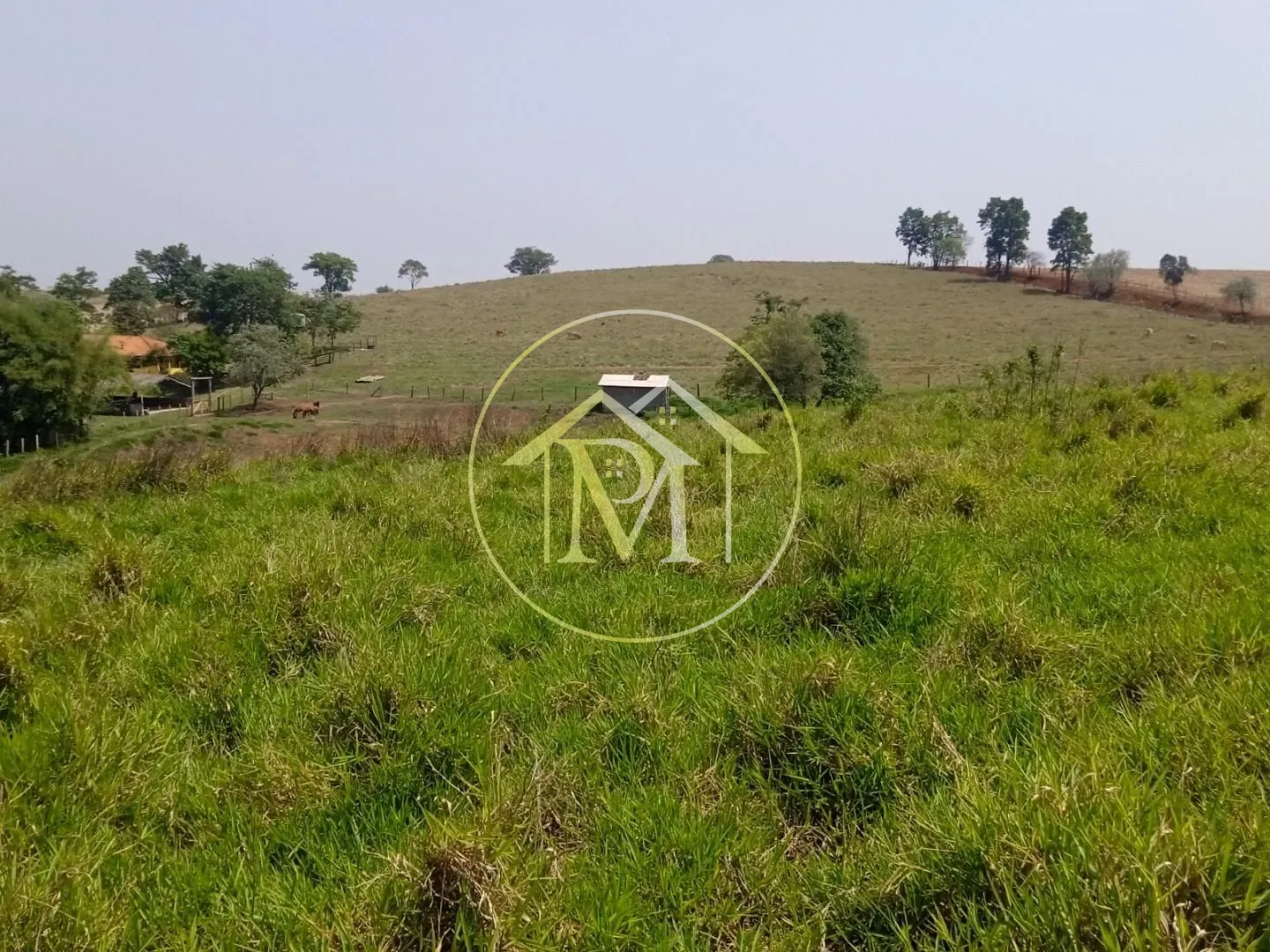 Fazenda, 8 hectares - Foto 8