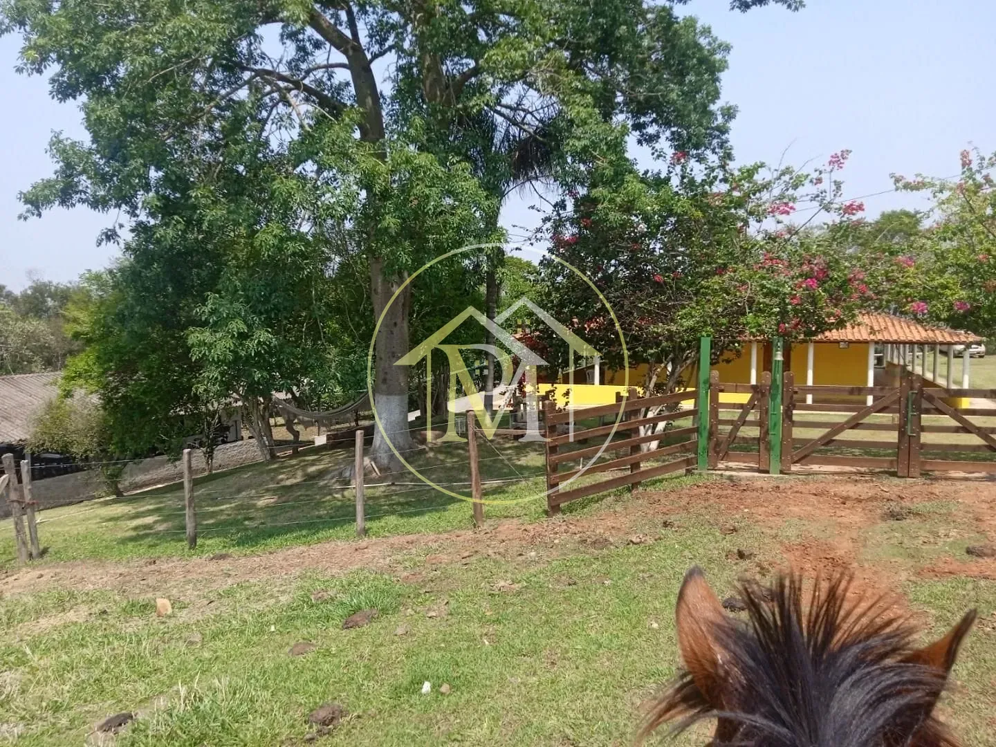 Fazenda, 8 hectares - Foto 9