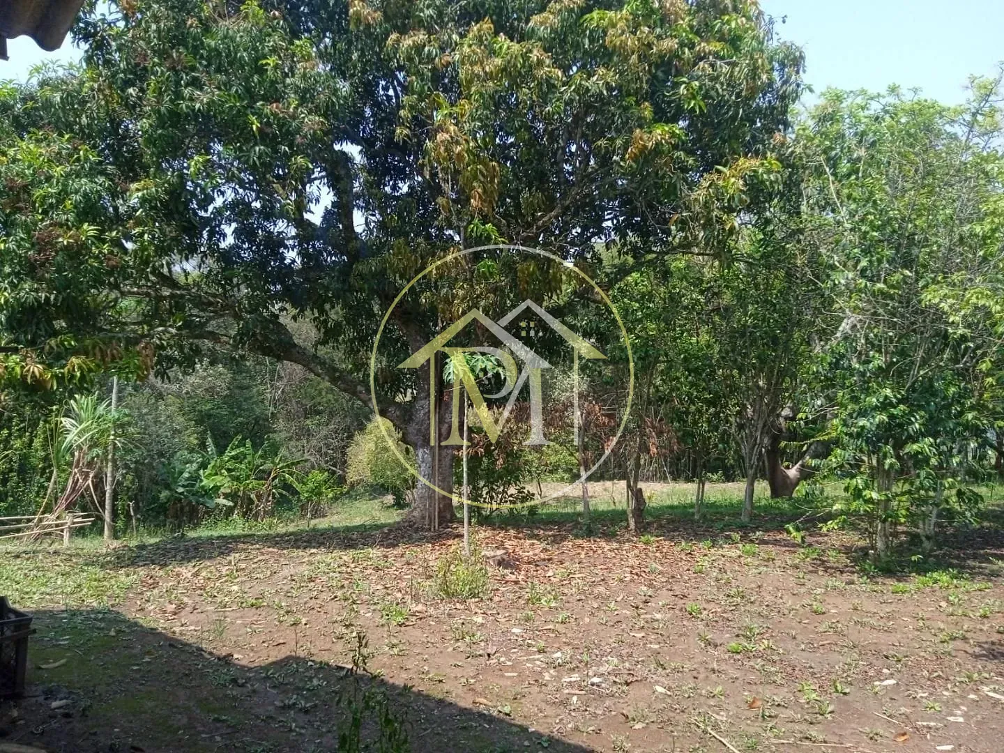 Fazenda, 8 hectares - Foto 14