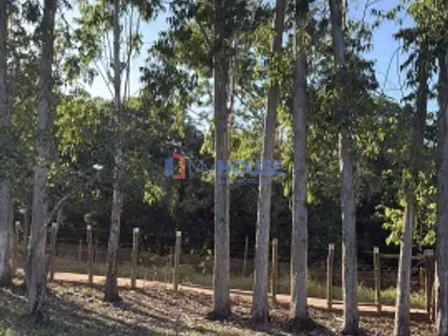 Sítio com 110000m² 1 quarto e 1 banheiro, à venda, no bairro Rural em Canavieiras