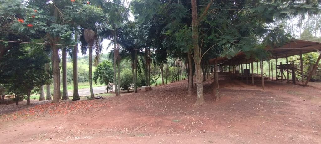 Rural / Chácara no Zona Rural — foto 2