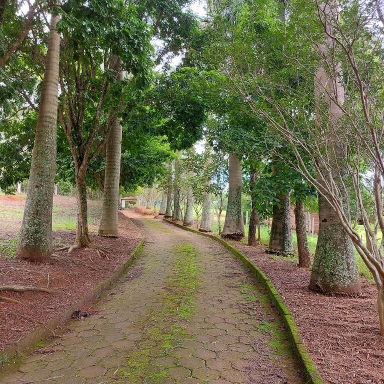 Rural / Chácara no Zona Rural — foto 15