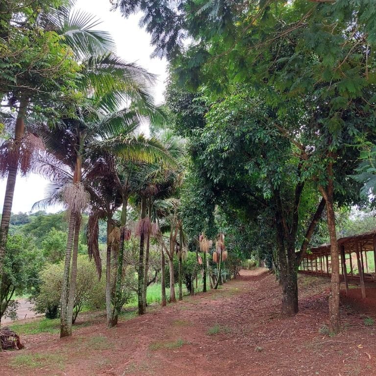 Rural / Chácara no Zona Rural — foto 12