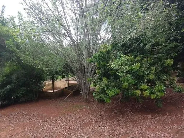 Sítio com 96800m² 4 quartos e 1 banheiro, à venda, no bairro Zona Rural em Pedralva