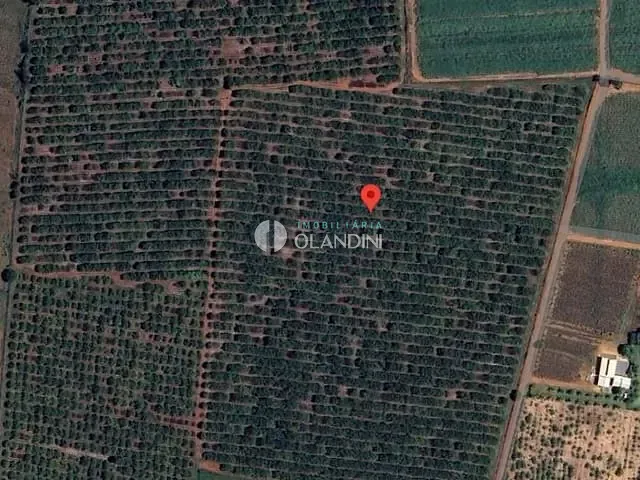Sítio com 41908m² 1 quarto e 1 banheiro, à venda, no bairro Área Rural de Artur Nogueira em Artur Nogueira