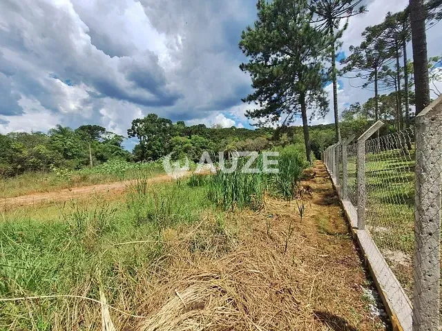 Sítio à venda, no bairro São Dimas em Colombo