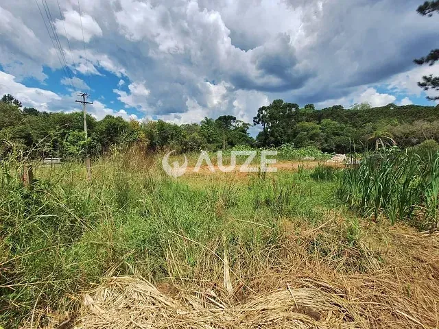 Sítio à venda, no bairro São Dimas em Colombo