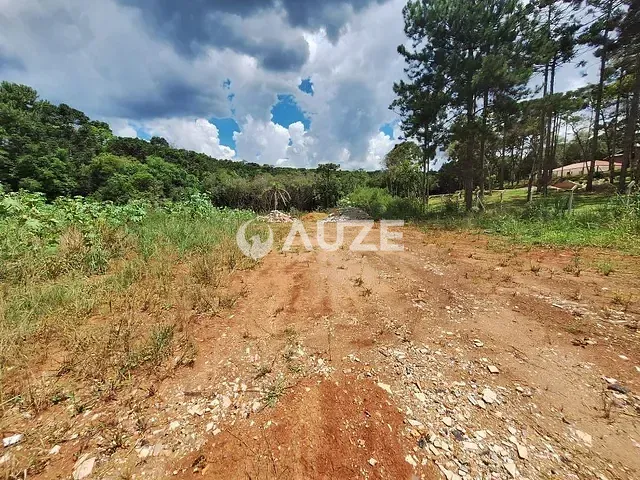 Sítio à venda, no bairro São Dimas em Colombo