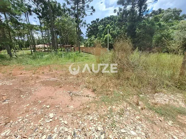 Sítio à venda, no bairro São Dimas em Colombo