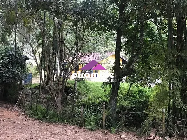 Sítio com 242000m² 6 quartos e 6 banheiros, à venda, no bairro Horto (Morro das Moças) em Ubatuba