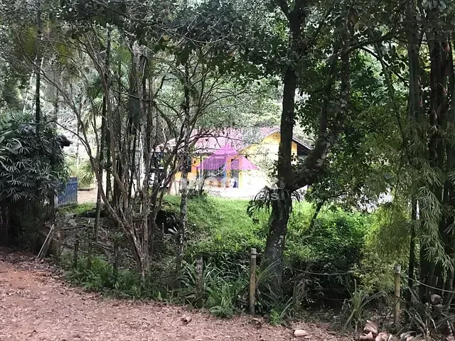 Sítio com 242000m² 6 quartos e 6 banheiros, à venda, no bairro Horto (Morro das Moças) em Ubatuba