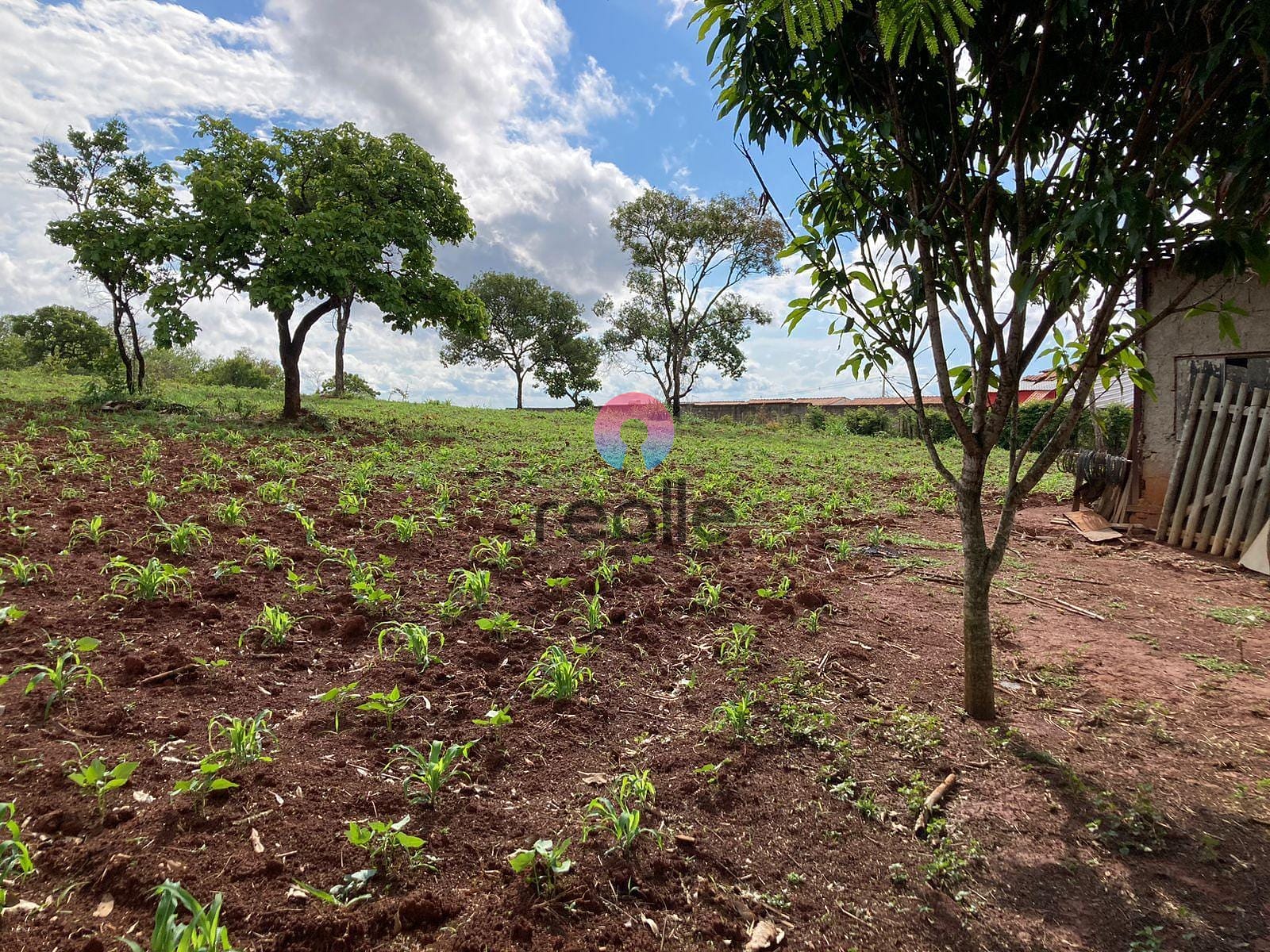 Sítio, 5 quartos, 3 hectares - Foto 17