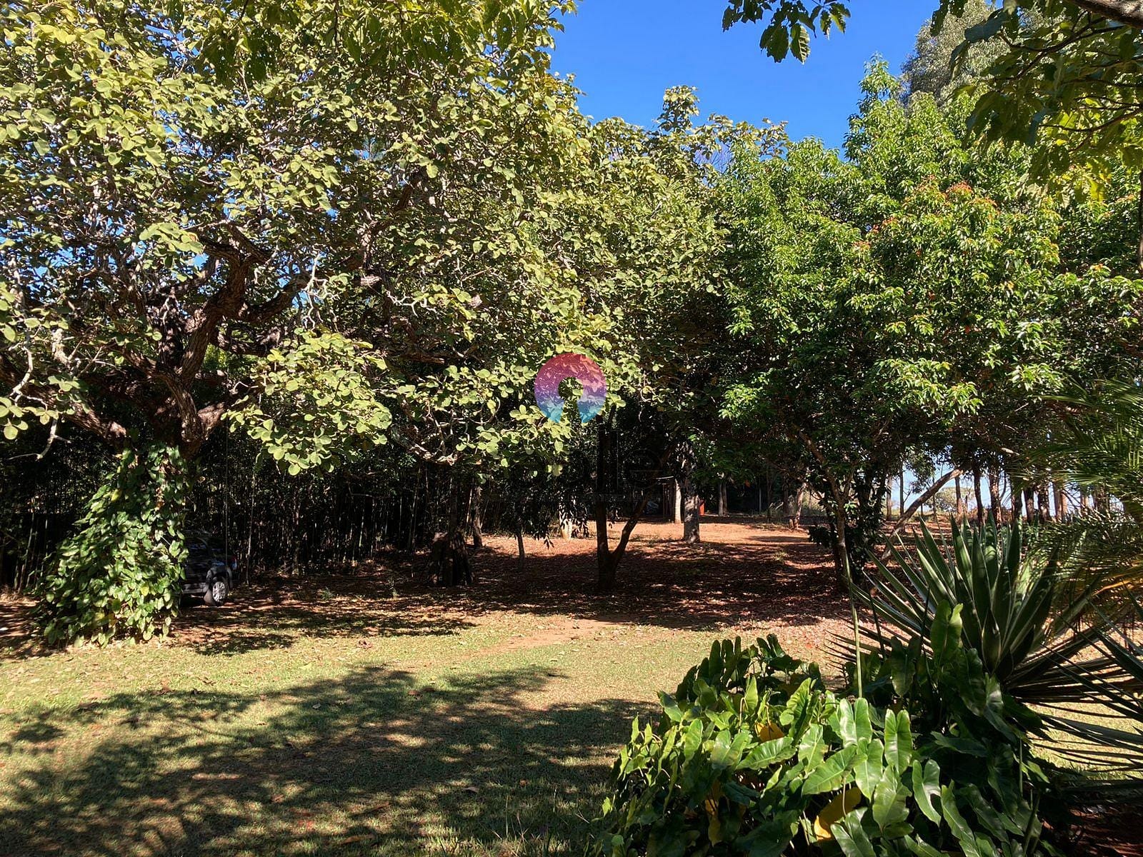 Sítio, 5 quartos, 3 hectares - Foto 16