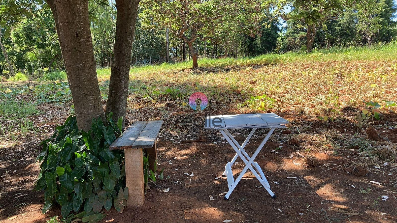 Sítio, 5 quartos, 3 hectares - Foto 15