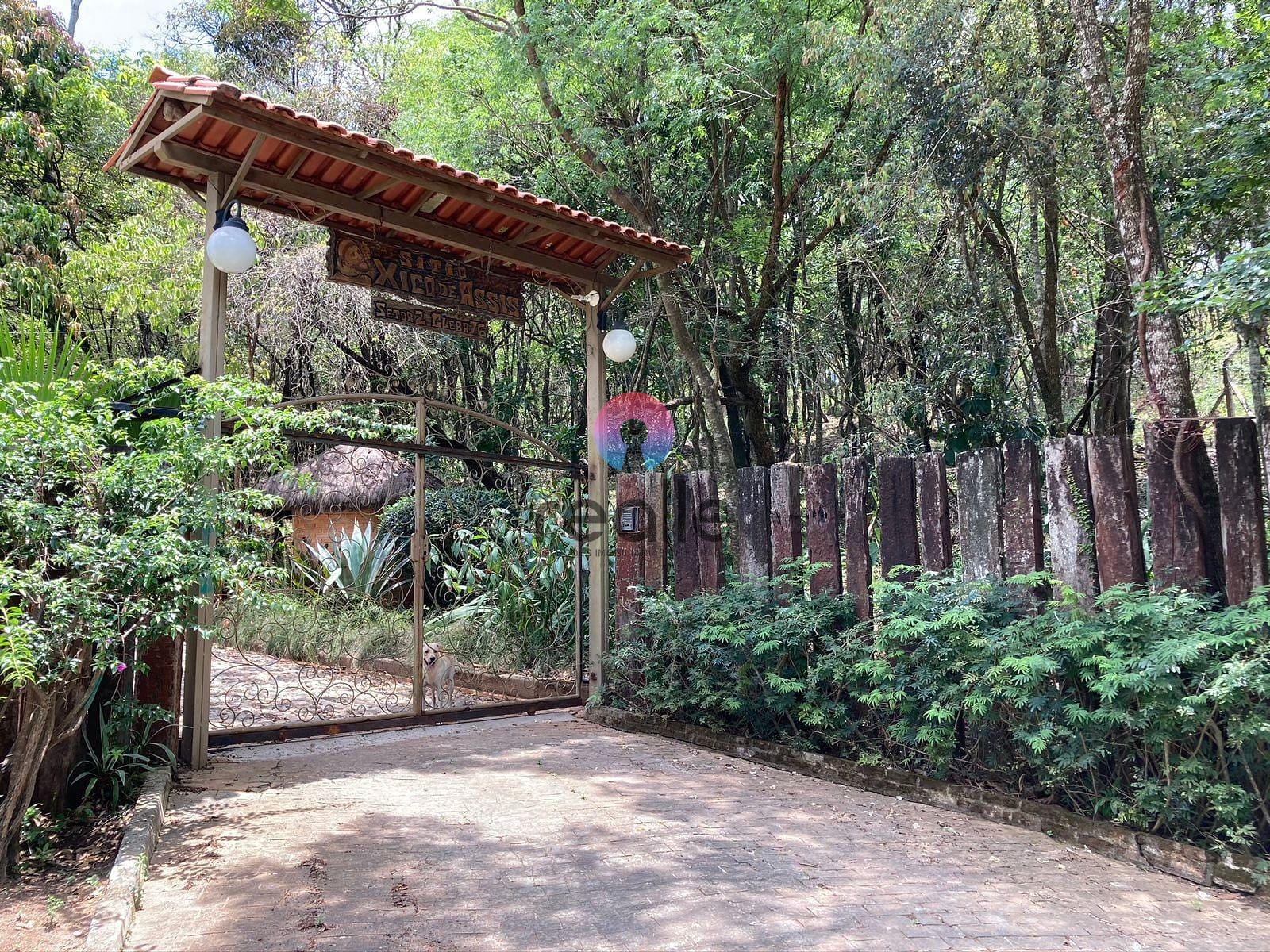 Sítio, 5 quartos, 3 hectares - Foto 14