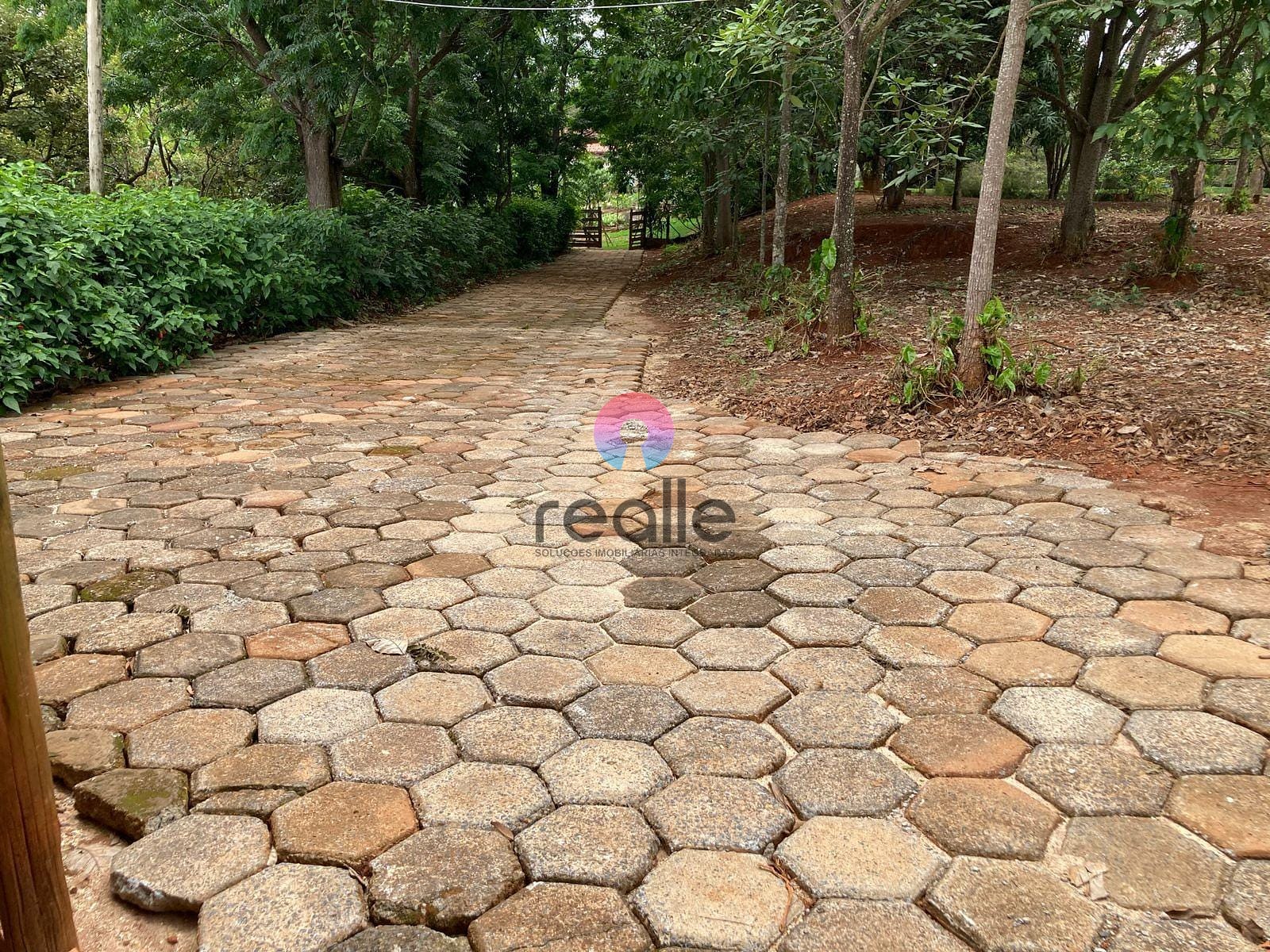 Sítio, 5 quartos, 3 hectares - Foto 18