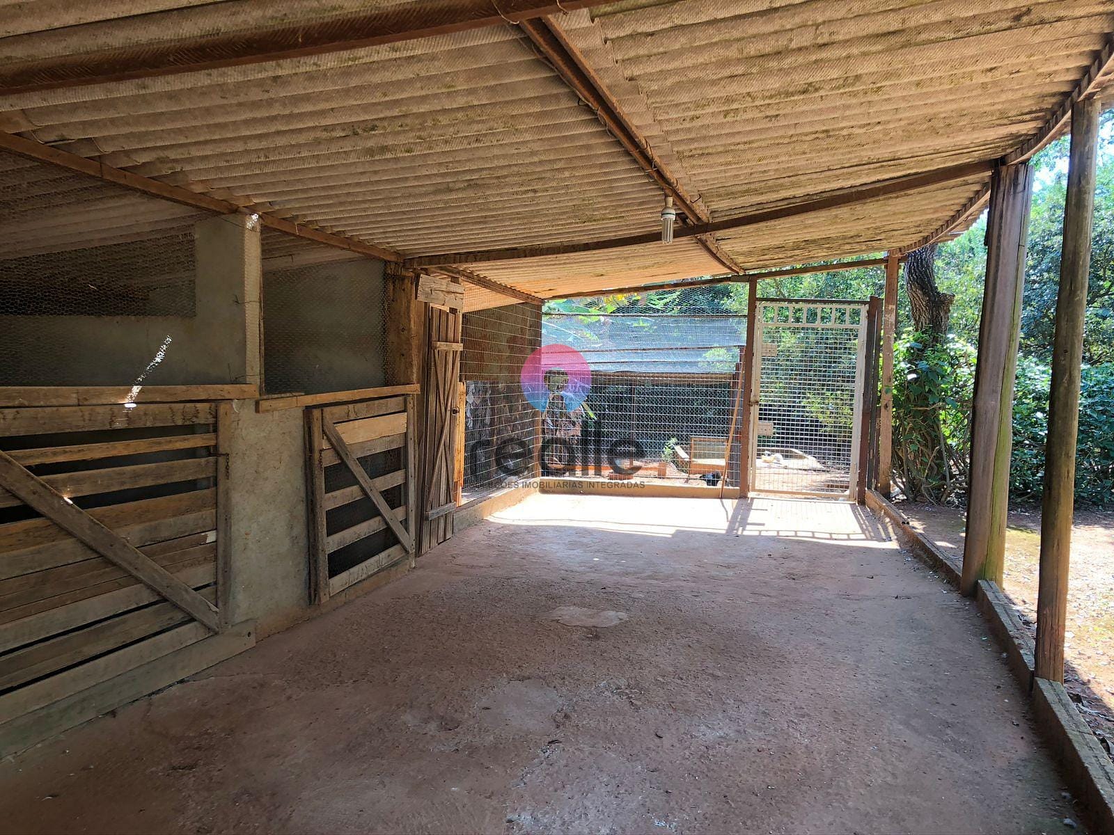 Sítio, 5 quartos, 3 hectares - Foto 11