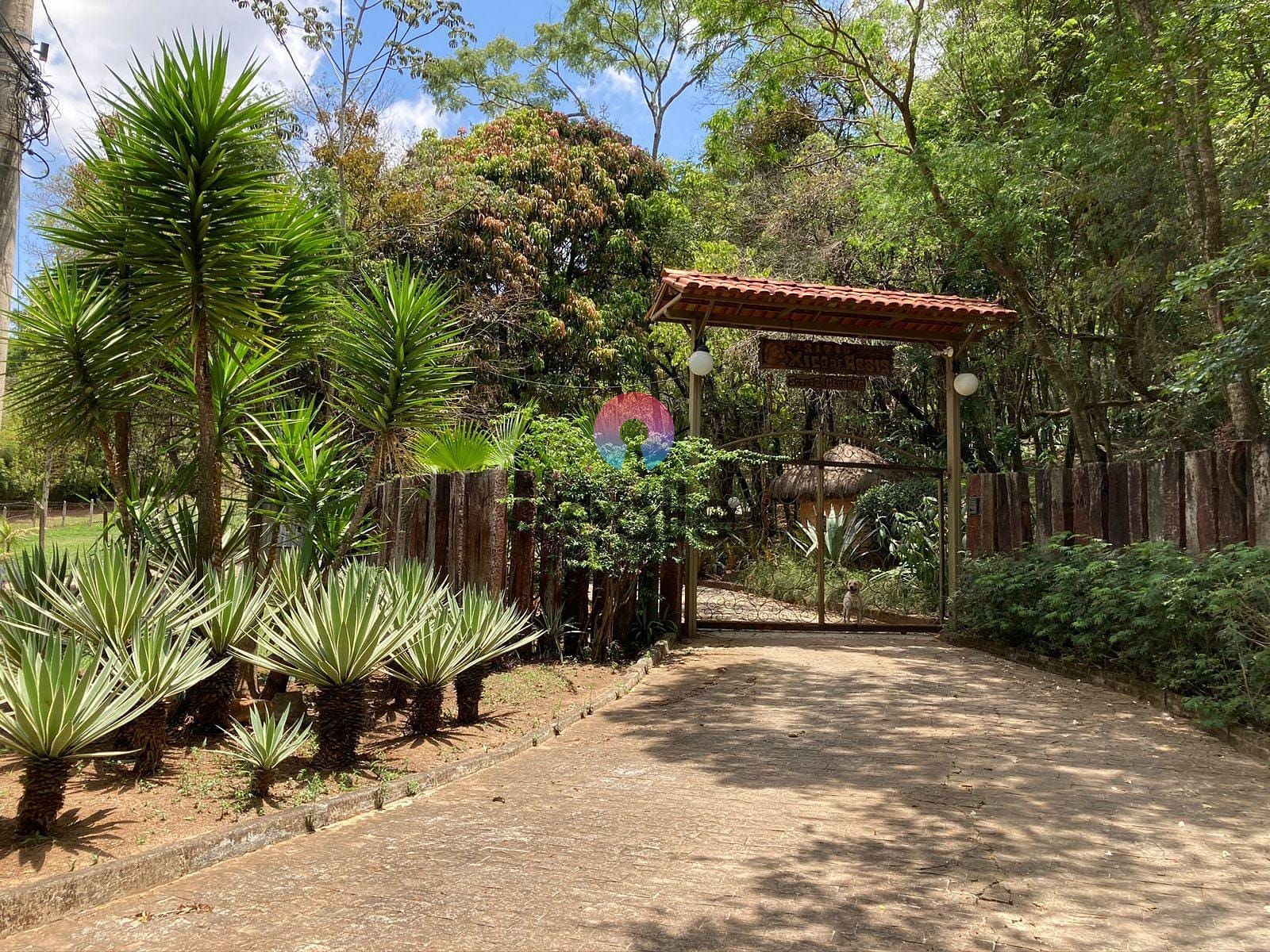 Sítio, 5 quartos, 3 hectares - Foto 13