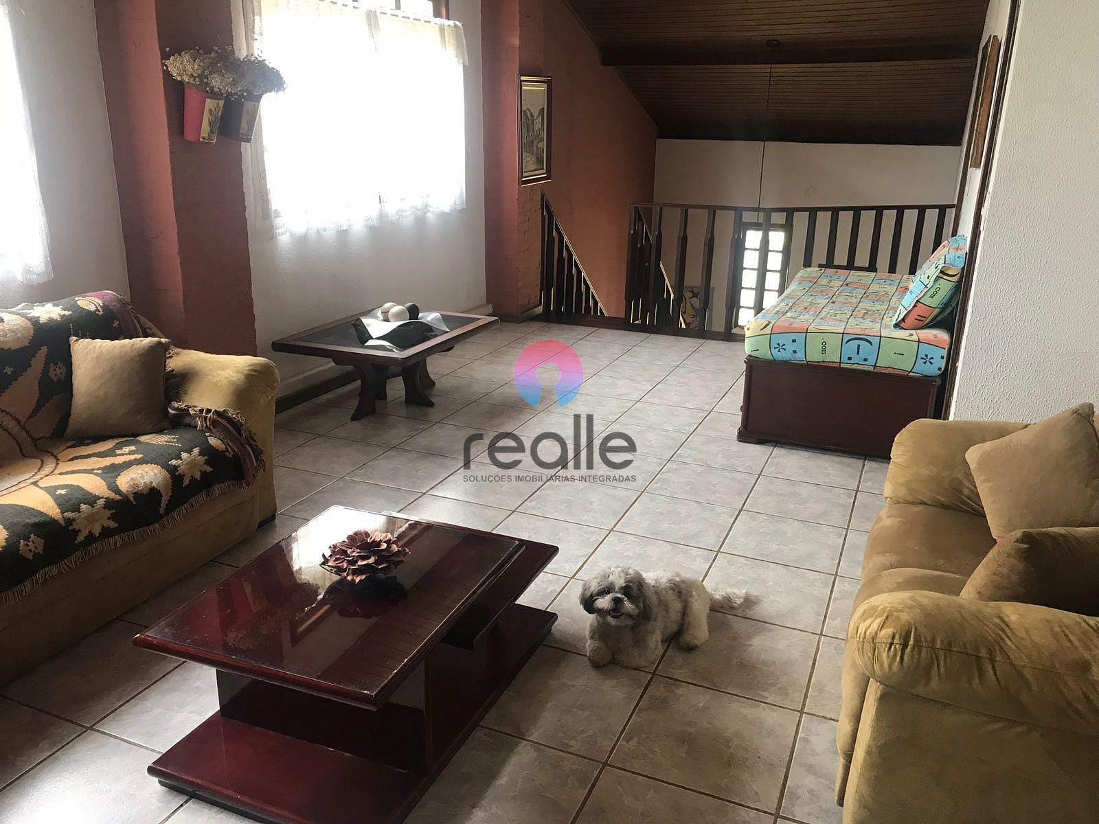 Sítio, 5 quartos, 3 hectares - Foto 7