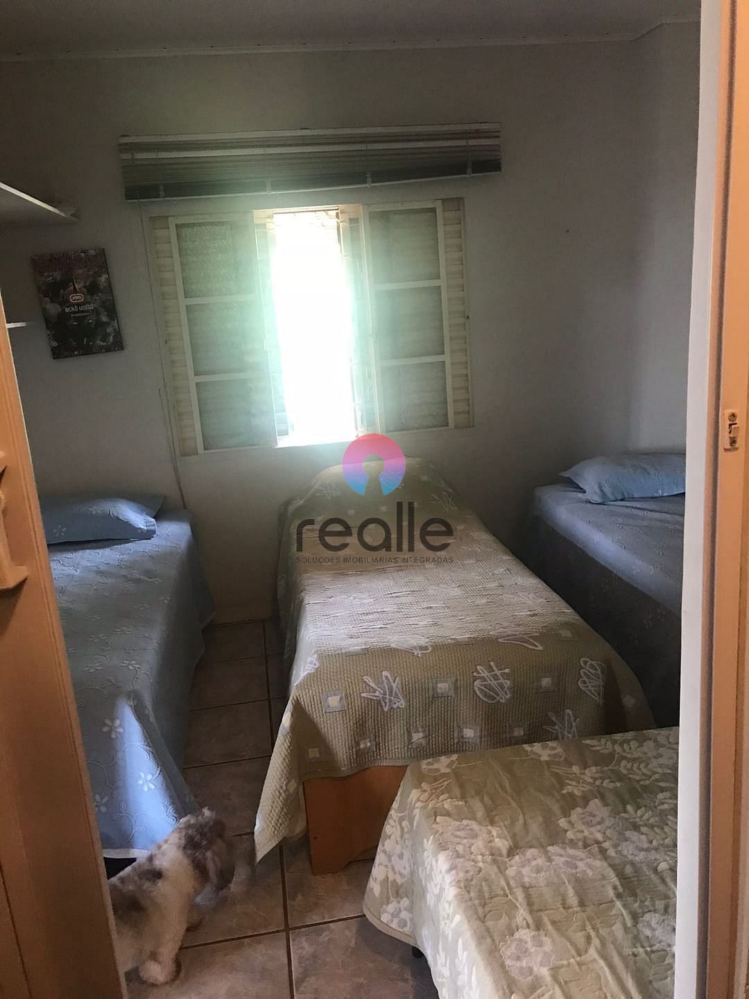 Sítio, 5 quartos, 3 hectares - Foto 5