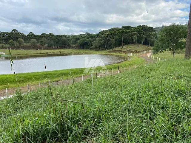 Sítio com 338000m² 3 quartos e 2 banheiros, à venda, no bairro Serra da Esperança em Guarapuava