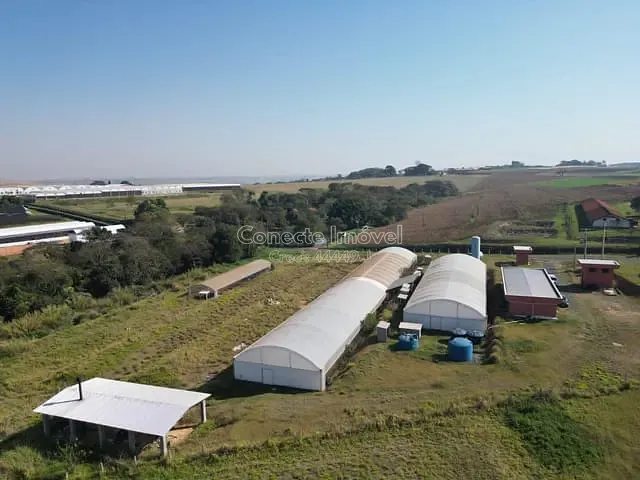 Sítio com 20662m², à venda, no bairro Fundão em Holambra